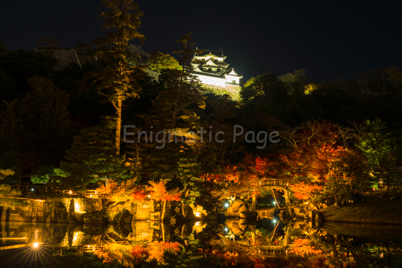 紅葉ツアー