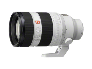 SEL50150GM